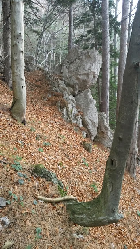 lh6.googleusercontent.com_-wfvt26n70og_un4ufw3ku6i_aaaaaaaask4_x-rt97xlz6k_w487-h866-no_20131109_075946.jpg lh6.googleusercontent.com_-wfvt26n70og_un4ufw3ku6i_aaaaaaaask4_x-rt97xlz6k_w487-h866-no_20131109_075946.jpg