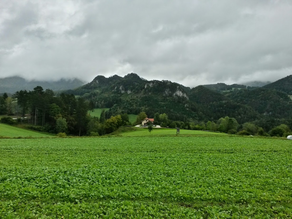 lh5.googleusercontent.com_-4z1vmofrpke_vccyqkhjkvi_aaaaaaaaduw_zveb8ve5xae_w1228-h921-no_20140927_110237_richtone_28hdr_29.jpg lh5.googleusercontent.com_-4z1vmofrpke_vccyqkhjkvi_aaaaaaaaduw_zveb8ve5xae_w1228-h921-no_20140927_110237_richtone_28hdr_29.jpg