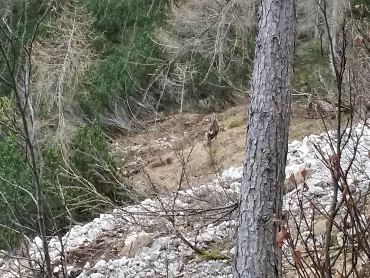 lh4.googleusercontent.com_-lpkemyh8q_4_vhsbm_rndvi_aaaaaaaafui_gylljcu4xa4_w1200-h900-no_20141125_135519_richtone_28hdr_29.jpg lh4.googleusercontent.com_-lpkemyh8q_4_vhsbm_rndvi_aaaaaaaafui_gylljcu4xa4_w1200-h900-no_20141125_135519_richtone_28hdr_29.jpg