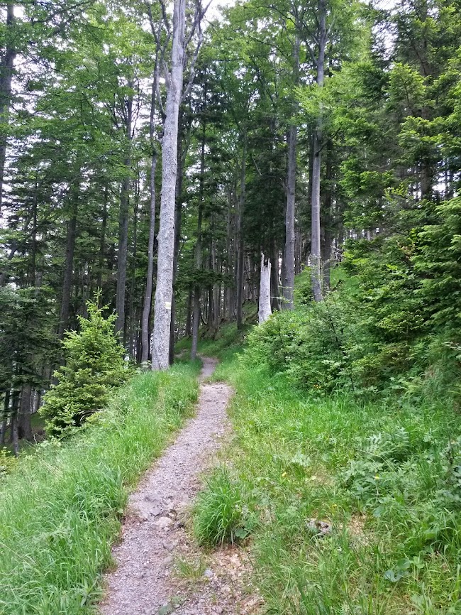 lh6.googleusercontent.com_-wc0txghot4c_u660yxmmxci_aaaaaaaaazg_c1mt2tkpsyo_w650-h866-no_20140628_114418_richtone_2528hdr_2529.jpg lh6.googleusercontent.com_-wc0txghot4c_u660yxmmxci_aaaaaaaaazg_c1mt2tkpsyo_w650-h866-no_20140628_114418_richtone_2528hdr_2529.jpg