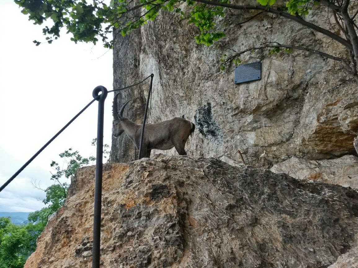 lh5.googleusercontent.com_-jr2eg2fwtjc_u4cieg9s-xi_aaaaaaaayew_q2ekxzb-ky0_w1155-h866-no_20140529_114055_richtone_2528hdr_2529.jpg lh5.googleusercontent.com_-jr2eg2fwtjc_u4cieg9s-xi_aaaaaaaayew_q2ekxzb-ky0_w1155-h866-no_20140529_114055_richtone_2528hdr_2529.jpg