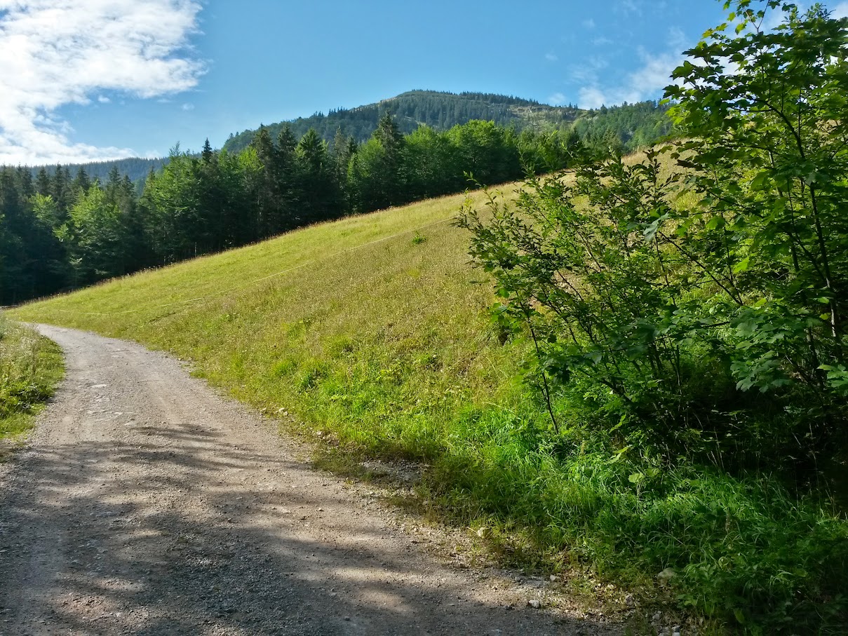 lh4.googleusercontent.com_-evtc_uslwts_vdsdjexpgei_aaaaaaaanck_d41zlryc6am_w1209-h907-no_20150824_092802_richtone_2528hdr_2529.jpg lh4.googleusercontent.com_-evtc_uslwts_vdsdjexpgei_aaaaaaaanck_d41zlryc6am_w1209-h907-no_20150824_092802_richtone_2528hdr_2529.jpg