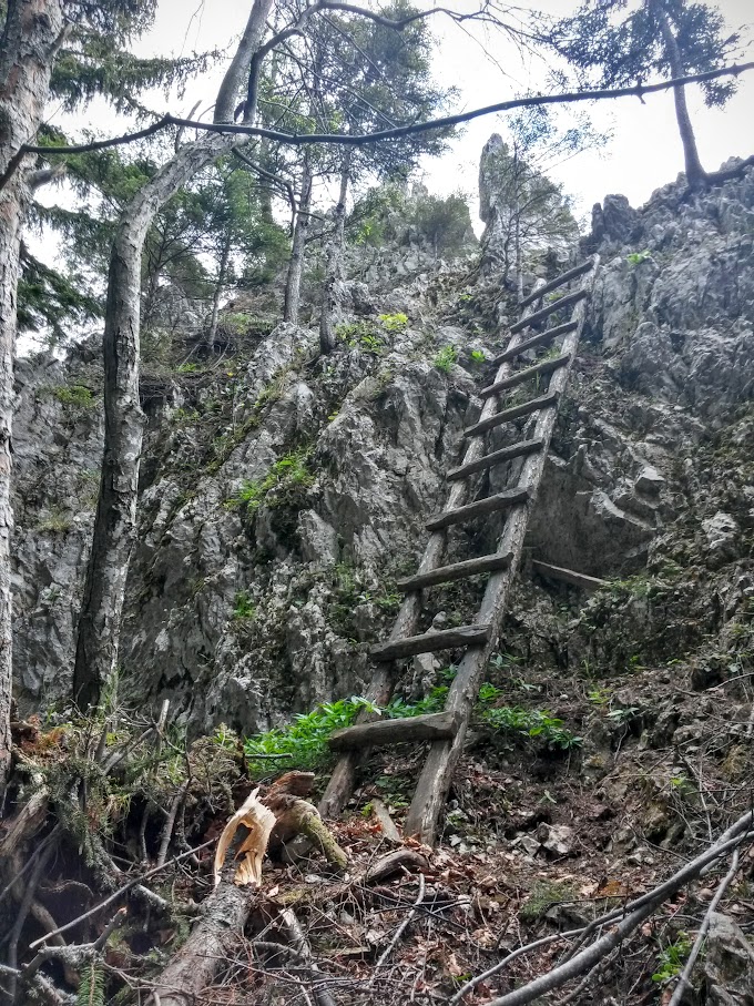 lh6.googleusercontent.com_-29k3jfr0pm0_vwnudwdbcgi_aaaaaaaajek_1nztlfsbtxq_w680-h907-no_20150530_123729_richtone_2528hdr_2529.jpg lh6.googleusercontent.com_-29k3jfr0pm0_vwnudwdbcgi_aaaaaaaajek_1nztlfsbtxq_w680-h907-no_20150530_123729_richtone_2528hdr_2529.jpg