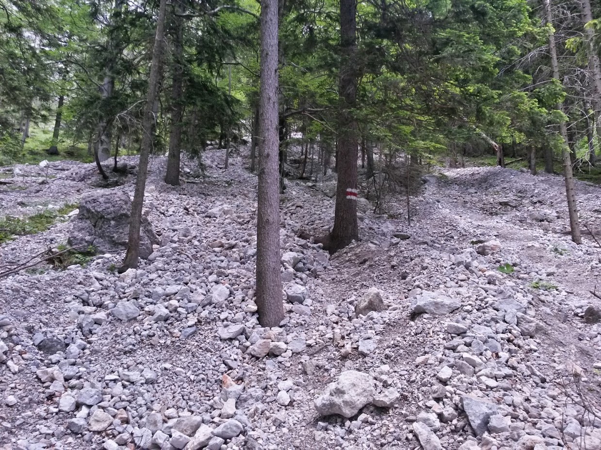 lh3.googleusercontent.com_-ckjprofhxws_u7f8srgco5i_aaaaaaaaa50_echwpqjiy4_w1239-h929-no_20140705_083709_richtone_2528hdr_2529.jpg lh3.googleusercontent.com_-ckjprofhxws_u7f8srgco5i_aaaaaaaaa50_echwpqjiy4_w1239-h929-no_20140705_083709_richtone_2528hdr_2529.jpg