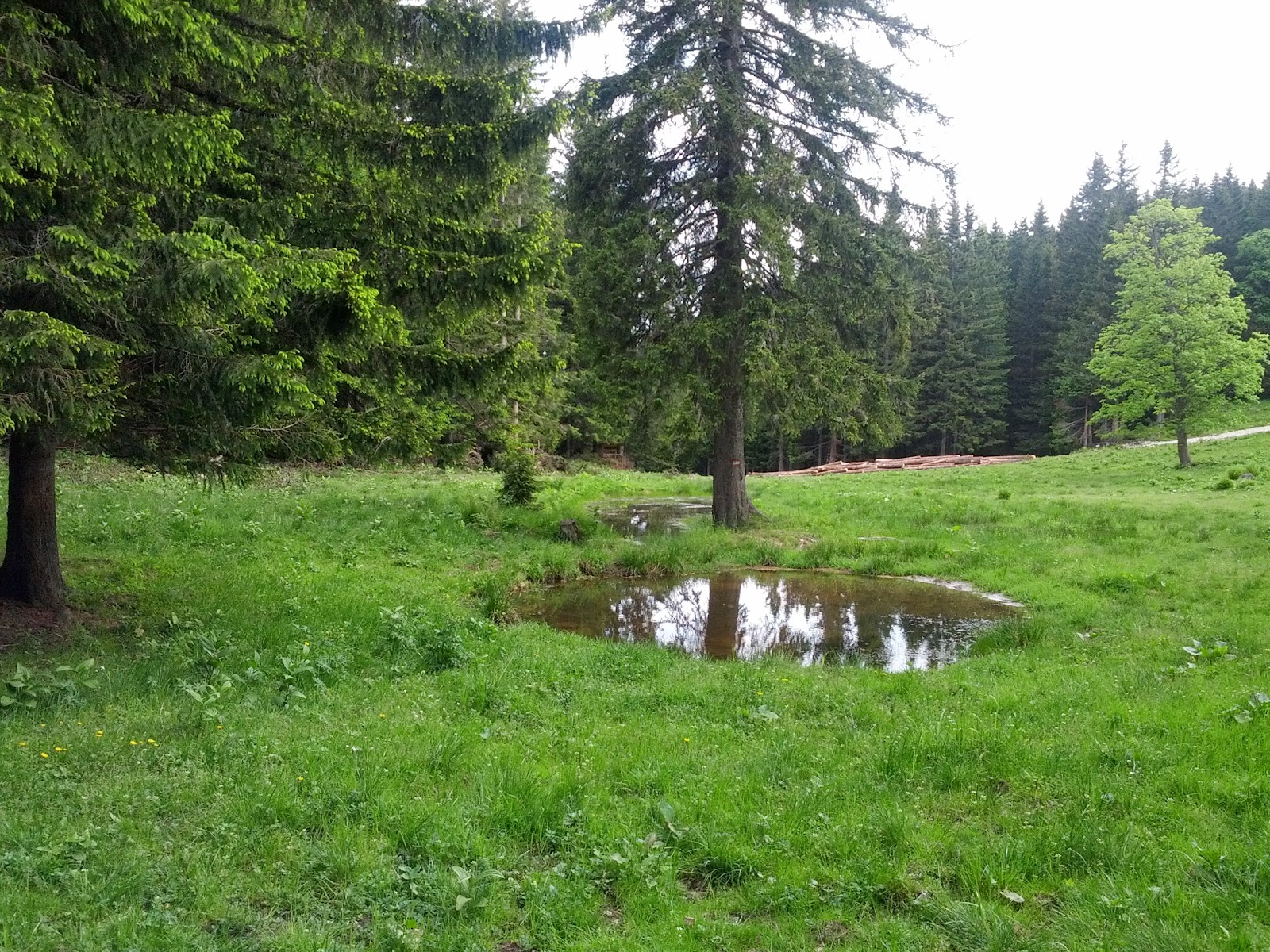 lh6.googleusercontent.com_-lz45kdgwiki_ubx26ybqi1i_aaaaaaaanna_mktfucvv_hk_w1600-h1200-no_img_20130615_083924.jpg lh6.googleusercontent.com_-lz45kdgwiki_ubx26ybqi1i_aaaaaaaanna_mktfucvv_hk_w1600-h1200-no_img_20130615_083924.jpg