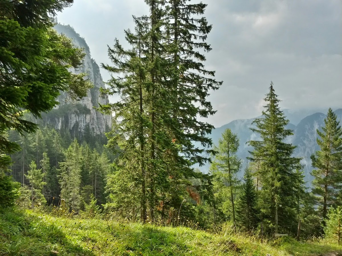 lh6.googleusercontent.com_-1jyjrtw_ocu_vbgzge53sbi_aaaaaaaadim_ojwqzjglzr8_w1200-h900-no_20140911_105713_richtone_28hdr_29.jpg lh6.googleusercontent.com_-1jyjrtw_ocu_vbgzge53sbi_aaaaaaaadim_ojwqzjglzr8_w1200-h900-no_20140911_105713_richtone_28hdr_29.jpg