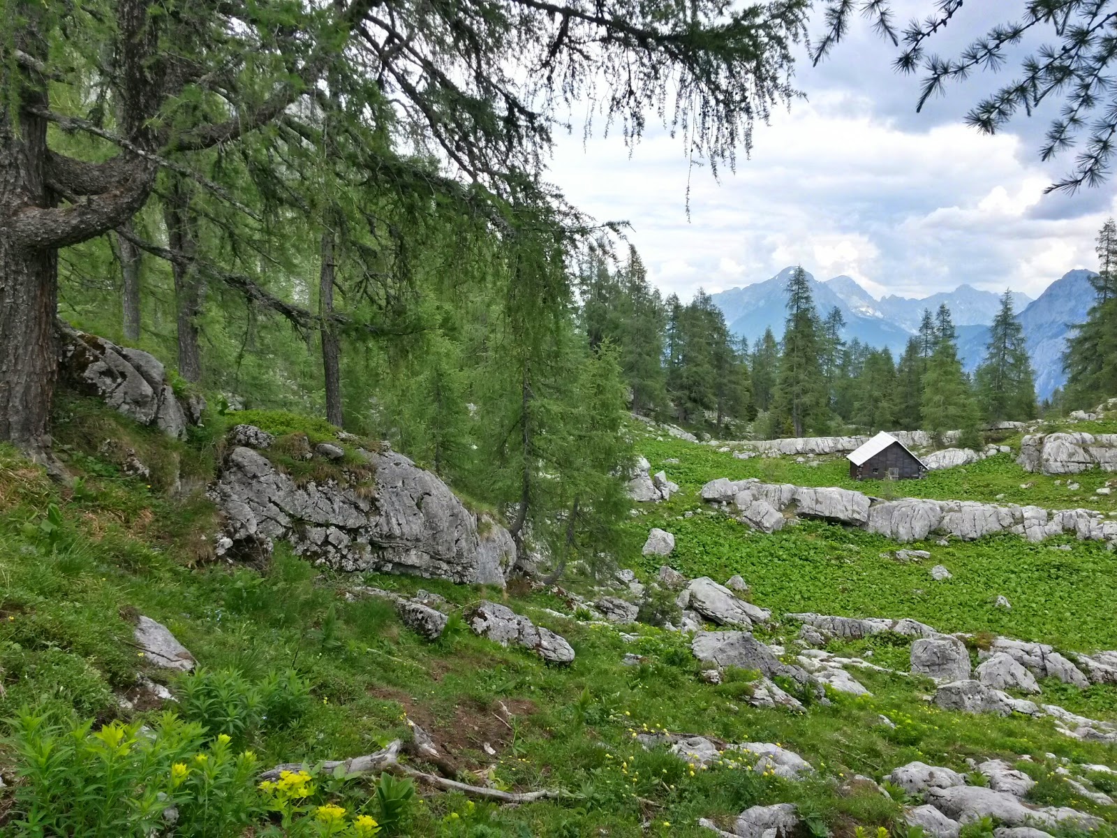 lh6.googleusercontent.com_-iomnzn7lpjm_u6hpjygha9i_aaaaaaaaaza_if-qo9fg8ui_w1600-h1200-no_20140618_134210_richtone_2528hdr_2529.jpg lh6.googleusercontent.com_-iomnzn7lpjm_u6hpjygha9i_aaaaaaaaaza_if-qo9fg8ui_w1600-h1200-no_20140618_134210_richtone_2528hdr_2529.jpg