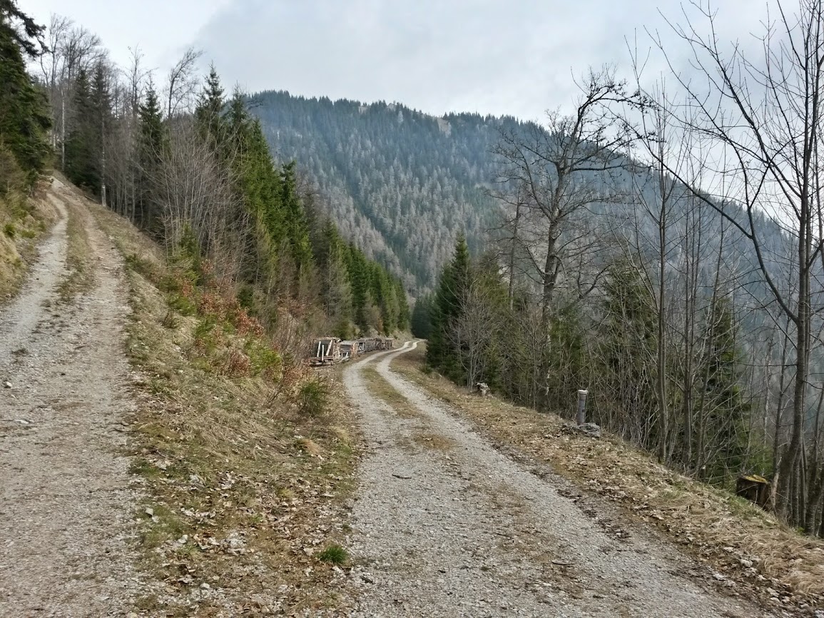 lh4.googleusercontent.com_-2ij8a0xvoju_uz_hvtr6lzi_aaaaaaaawr8_bsol9zbgliw_w1155-h866-no_20140405_112003_richtone_2528hdr_2529.jpg lh4.googleusercontent.com_-2ij8a0xvoju_uz_hvtr6lzi_aaaaaaaawr8_bsol9zbgliw_w1155-h866-no_20140405_112003_richtone_2528hdr_2529.jpg