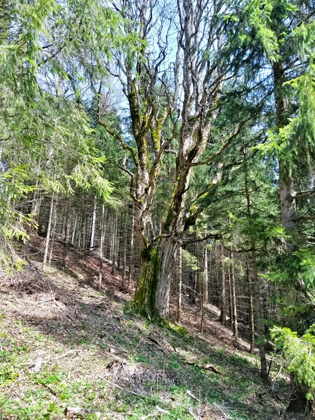 lh5.googleusercontent.com_-u2ly0brokv0_u1vyhtazmei_aaaaaaaaxag_cwczpzxqjk8_w650-h866-no_20140421_120123_richtone_2528hdr_2529.jpg lh5.googleusercontent.com_-u2ly0brokv0_u1vyhtazmei_aaaaaaaaxag_cwczpzxqjk8_w650-h866-no_20140421_120123_richtone_2528hdr_2529.jpg