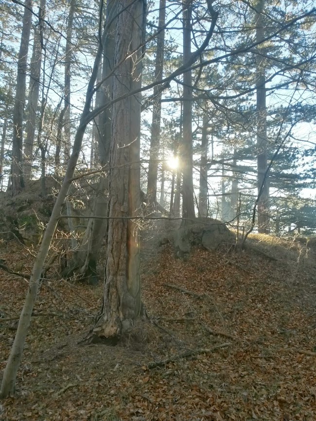 lh4.googleusercontent.com_-ezwoa9mexqe_urmjf7rzzai_aaaaaaaatyy_zbczdmd-_gq_w650-h866-no_20131224_095058_richtone_2528hdr_2529.jpg lh4.googleusercontent.com_-ezwoa9mexqe_urmjf7rzzai_aaaaaaaatyy_zbczdmd-_gq_w650-h866-no_20131224_095058_richtone_2528hdr_2529.jpg