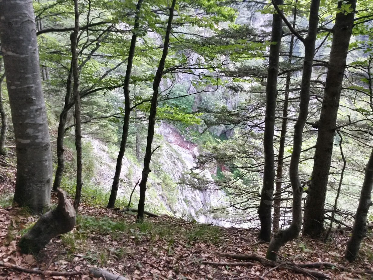 lh4.googleusercontent.com_-o4nce8fsfxo_u8qb1dmoboi_aaaaaaaabky_22zxiis5alu_w1228-h921-no_20140719_074231_richtone_2528hdr_2529.jpg lh4.googleusercontent.com_-o4nce8fsfxo_u8qb1dmoboi_aaaaaaaabky_22zxiis5alu_w1228-h921-no_20140719_074231_richtone_2528hdr_2529.jpg