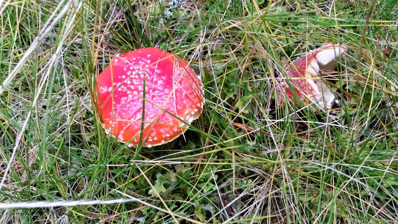 lh5.googleusercontent.com_-awdyzfqpgiy_ullly4kztai_aaaaaaaarac_hui0tp7dgck_w1353-h761-no_20131012_111459_richtone_2528hdr_2529.jpg lh5.googleusercontent.com_-awdyzfqpgiy_ullly4kztai_aaaaaaaarac_hui0tp7dgck_w1353-h761-no_20131012_111459_richtone_2528hdr_2529.jpg