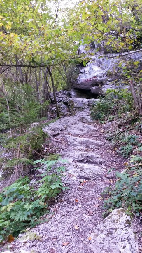 lh5.googleusercontent.com_-q_hxfn437-m_uladztinp-i_aaaaaaaaqzm_avszzf95o-g_w487-h866-no_20131005_080724.jpg lh5.googleusercontent.com_-q_hxfn437-m_uladztinp-i_aaaaaaaaqzm_avszzf95o-g_w487-h866-no_20131005_080724.jpg