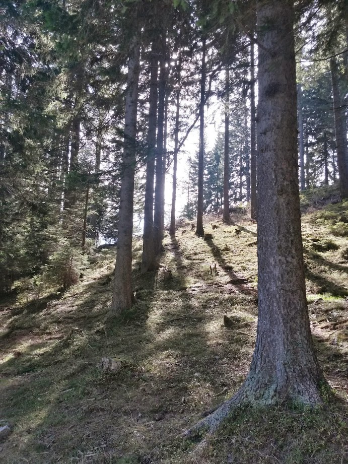 lh6.googleusercontent.com_-t97sbitocts_vdkvynjpc2i_aaaaaaaaeii_d58mjpxliym_w691-h921-no_20141011_121529_richtone_28hdr_29.jpg lh6.googleusercontent.com_-t97sbitocts_vdkvynjpc2i_aaaaaaaaeii_d58mjpxliym_w691-h921-no_20141011_121529_richtone_28hdr_29.jpg