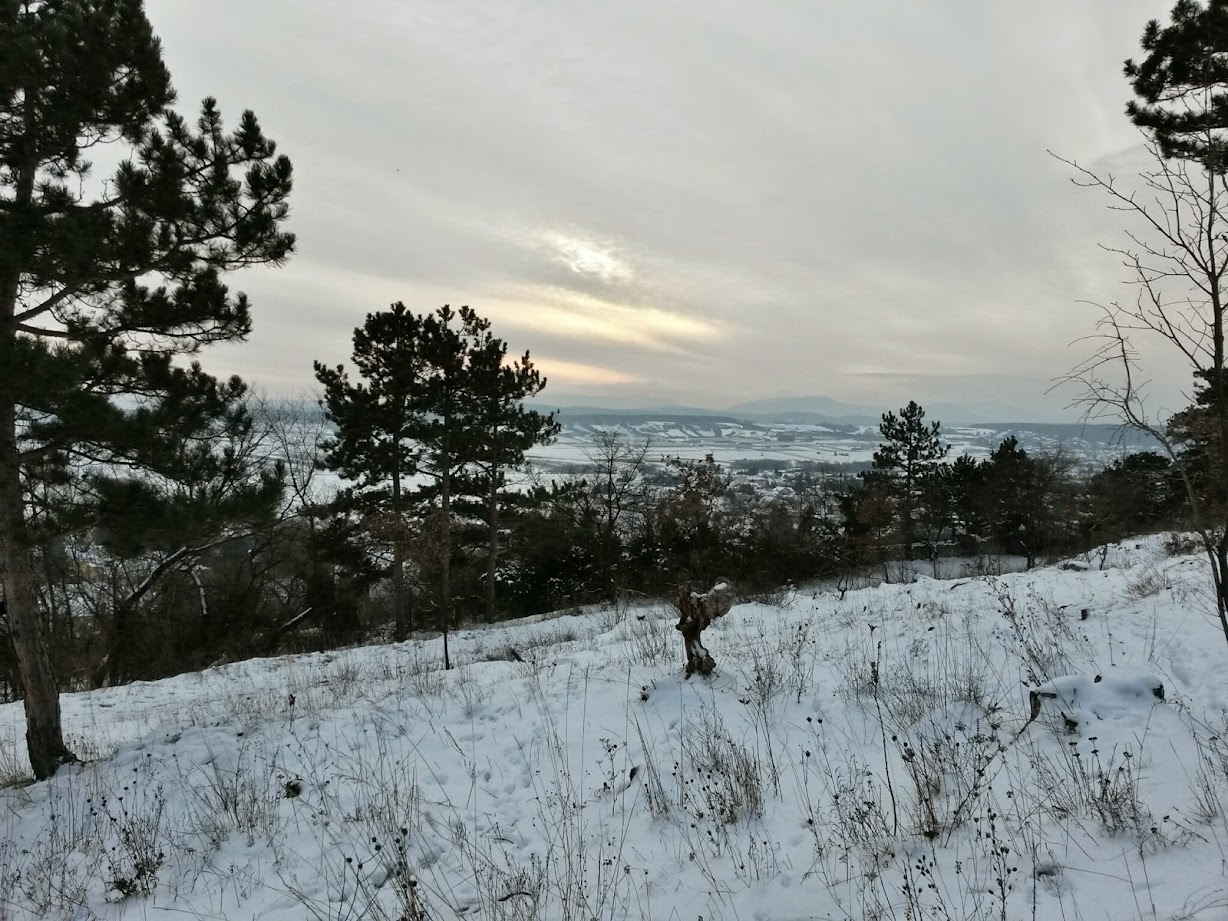 lh4.googleusercontent.com_-d4ylrhkvnr8_vkqu20dargi_aaaaaaaagn0_j9mofh7frmk_w1228-h921-no_20141231_144729_richtone_28hdr_29.jpg lh4.googleusercontent.com_-d4ylrhkvnr8_vkqu20dargi_aaaaaaaagn0_j9mofh7frmk_w1228-h921-no_20141231_144729_richtone_28hdr_29.jpg