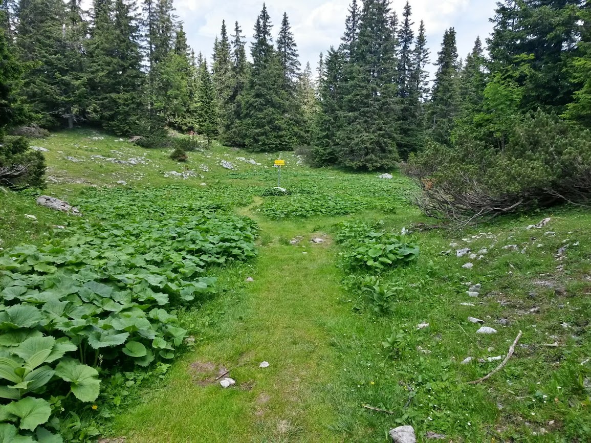 lh3.googleusercontent.com_-kl9ts0iaz5w_u660kb_vdli_aaaaaaaaayk_1pix7a5f-k8_w1155-h866-no_20140628_110824_richtone_2528hdr_2529.jpg lh3.googleusercontent.com_-kl9ts0iaz5w_u660kb_vdli_aaaaaaaaayk_1pix7a5f-k8_w1155-h866-no_20140628_110824_richtone_2528hdr_2529.jpg