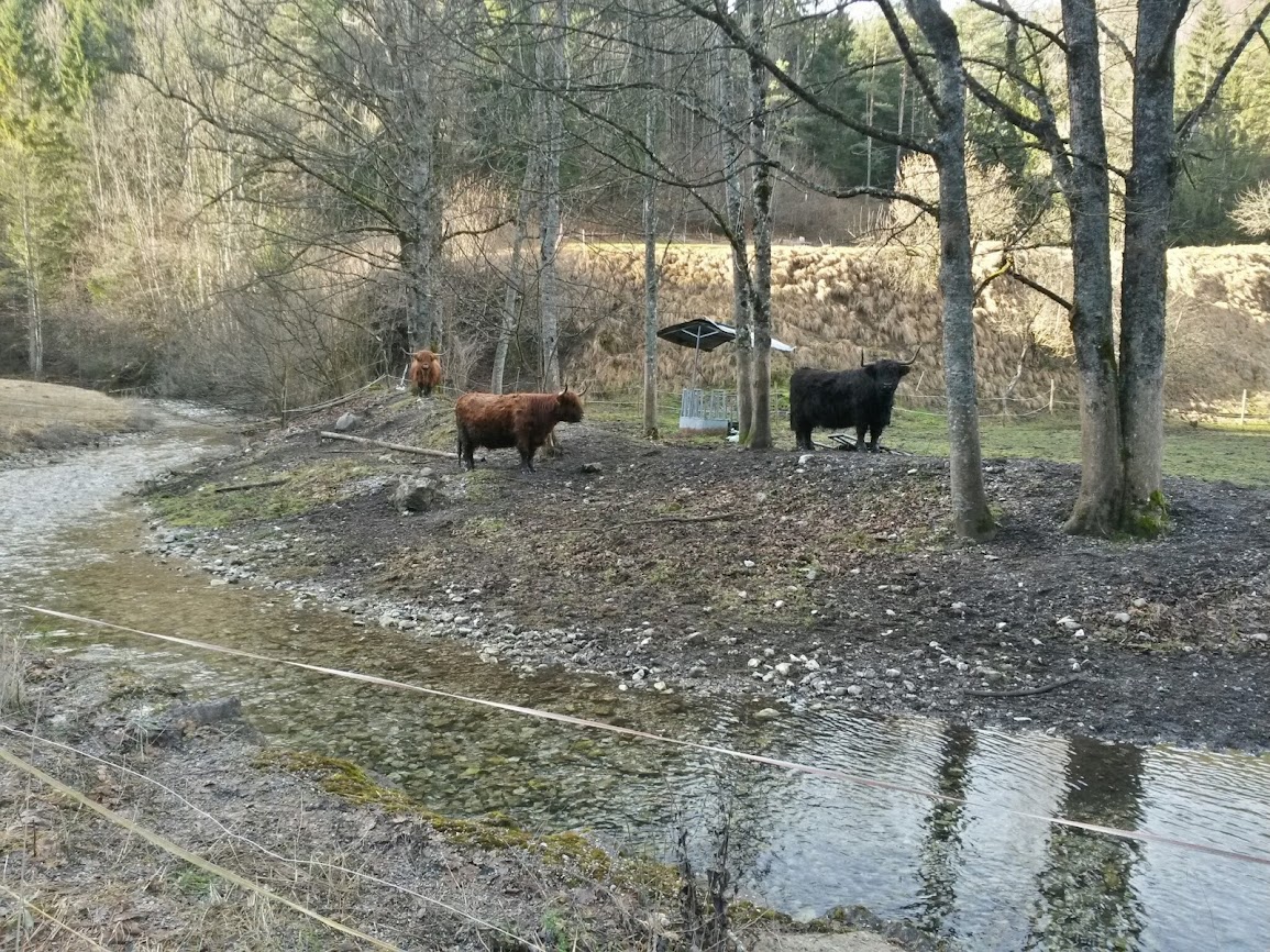 lh3.googleusercontent.com_-tnvh6ka7zea_utfau5spiai_aaaaaaaauk4_o9srkhohdnu_w1155-h866-no_20140111_133646_richtone_2528hdr_2529.jpg lh3.googleusercontent.com_-tnvh6ka7zea_utfau5spiai_aaaaaaaauk4_o9srkhohdnu_w1155-h866-no_20140111_133646_richtone_2528hdr_2529.jpg