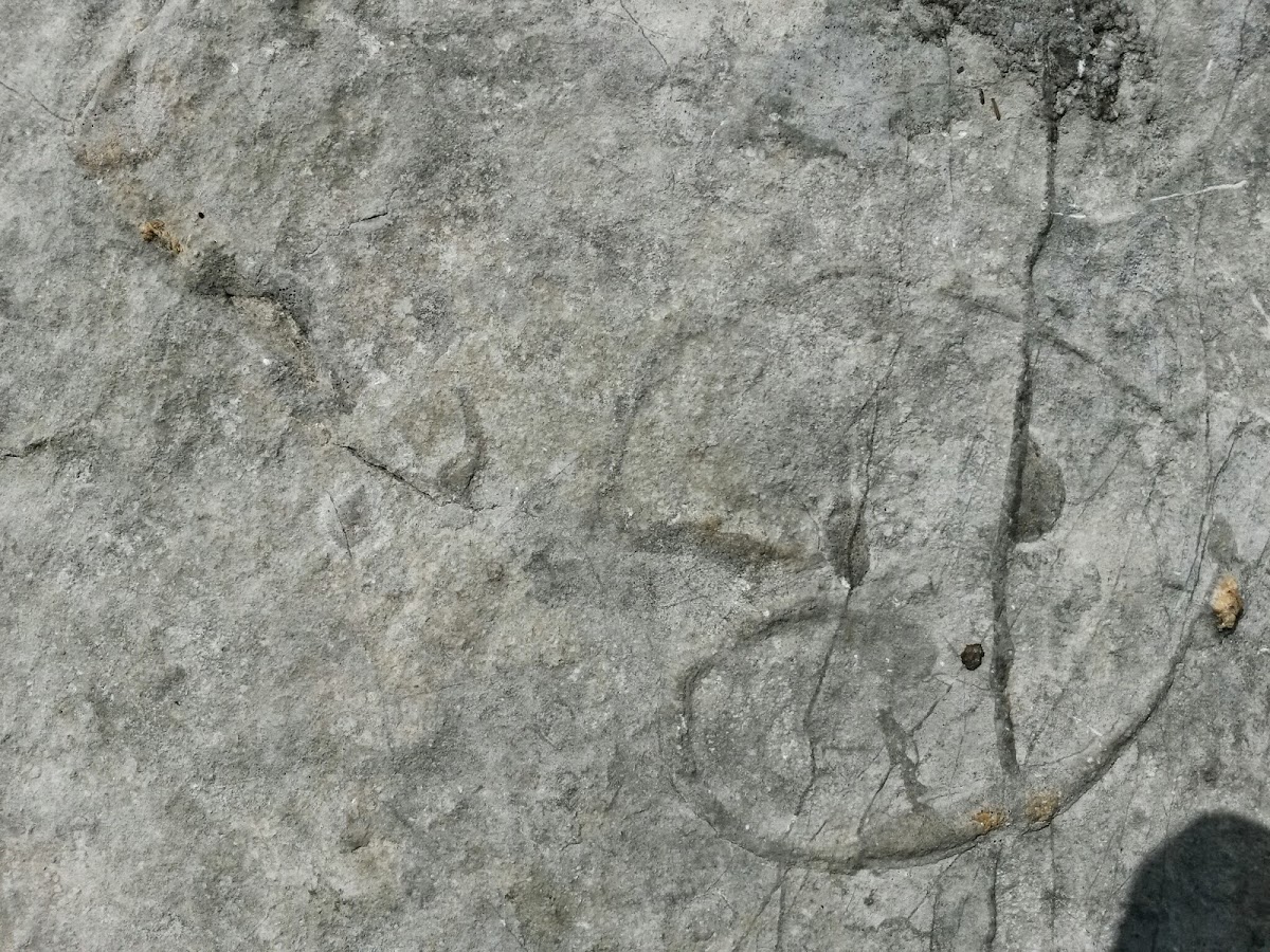 lh6.googleusercontent.com_-2tpexdzi2wc_u6ho1bcjt8i_aaaaaaaaayc_o8a7oltmsy0_w1200-h900-no_20140618_130859_richtone_2528hdr_2529.jpg lh6.googleusercontent.com_-2tpexdzi2wc_u6ho1bcjt8i_aaaaaaaaayc_o8a7oltmsy0_w1200-h900-no_20140618_130859_richtone_2528hdr_2529.jpg