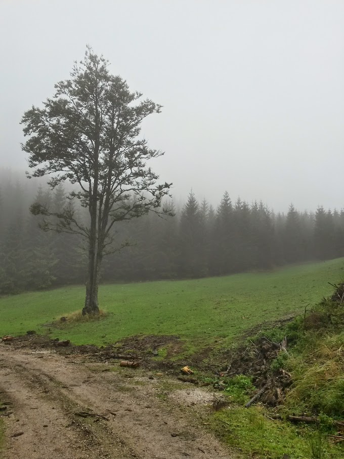 lh4.googleusercontent.com_-zofxzev5b_y_vgaxpgc5c9i_aaaaaaaaocu_cx4dso83in4_w680-h907-no_20150926_122005_richtone_2528hdr_2529.jpg lh4.googleusercontent.com_-zofxzev5b_y_vgaxpgc5c9i_aaaaaaaaocu_cx4dso83in4_w680-h907-no_20150926_122005_richtone_2528hdr_2529.jpg