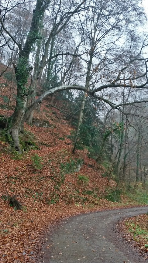 lh3.googleusercontent.com_-m9kvt2bejda_upcrf8kb7_i_aaaaaaaasf4_frycgpjb794_w487-h866-no_20131123_085857_richtone_2528hdr_2529.jpg lh3.googleusercontent.com_-m9kvt2bejda_upcrf8kb7_i_aaaaaaaasf4_frycgpjb794_w487-h866-no_20131123_085857_richtone_2528hdr_2529.jpg