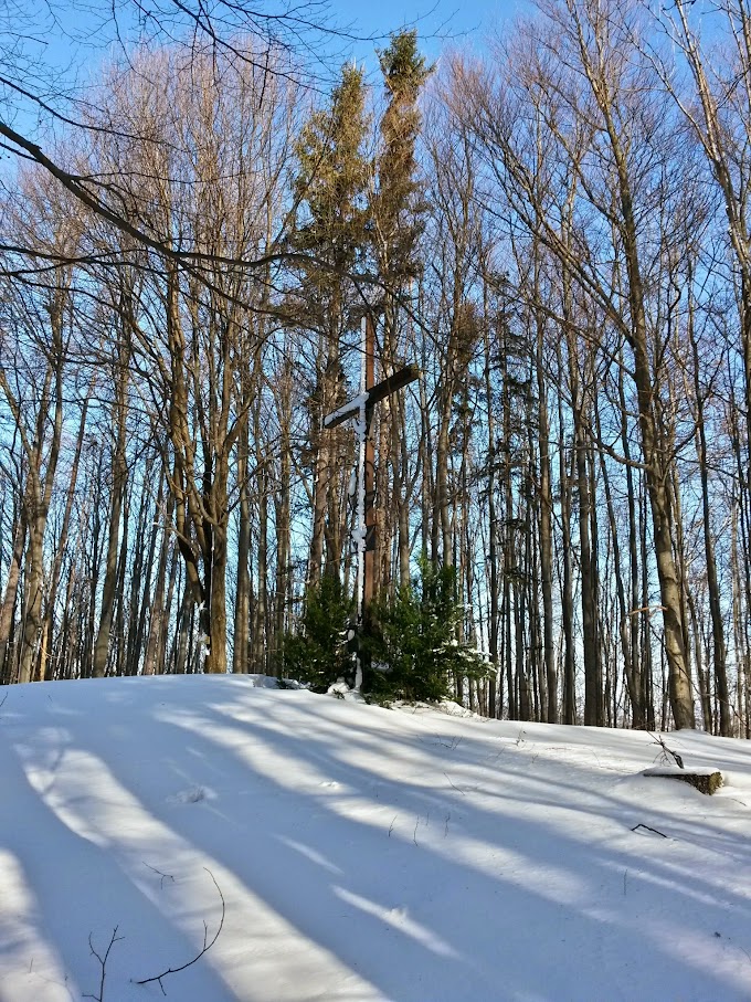 lh4.googleusercontent.com_-das0tlwygmu_vmzlyzx1oci_aaaaaaaahng_cg8t2cxw8uy_w680-h907-no_20150131_104821_richtone_28hdr_29.jpg lh4.googleusercontent.com_-das0tlwygmu_vmzlyzx1oci_aaaaaaaahng_cg8t2cxw8uy_w680-h907-no_20150131_104821_richtone_28hdr_29.jpg