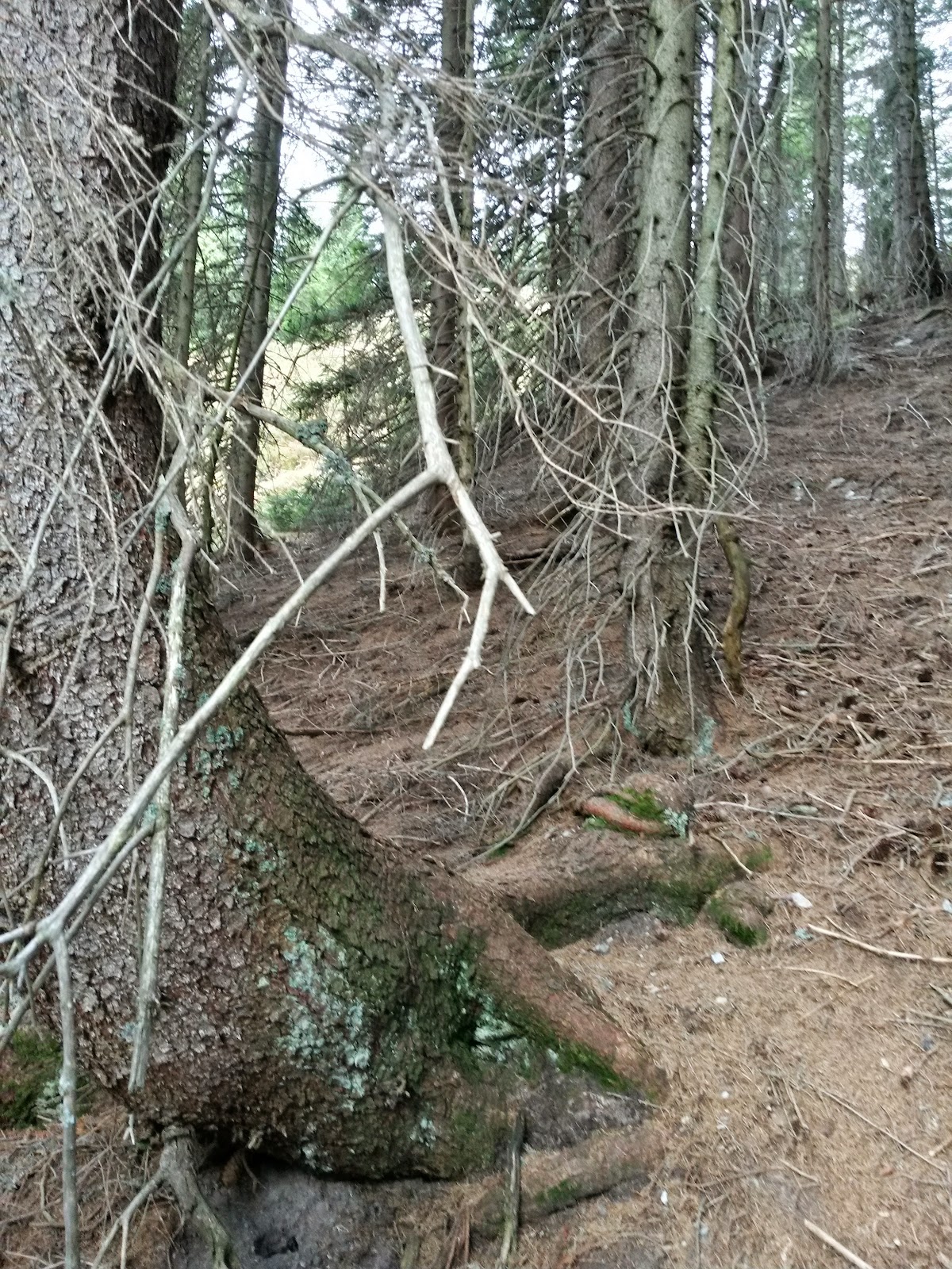 lh4.googleusercontent.com_-kvcarjvjfgg_vj4uotlsngi_aaaaaaaao7o_jmip-yh5ato_w1200-h1600-no_20151107_122932_richtone_2528hdr_2529.jpg lh4.googleusercontent.com_-kvcarjvjfgg_vj4uotlsngi_aaaaaaaao7o_jmip-yh5ato_w1200-h1600-no_20151107_122932_richtone_2528hdr_2529.jpg