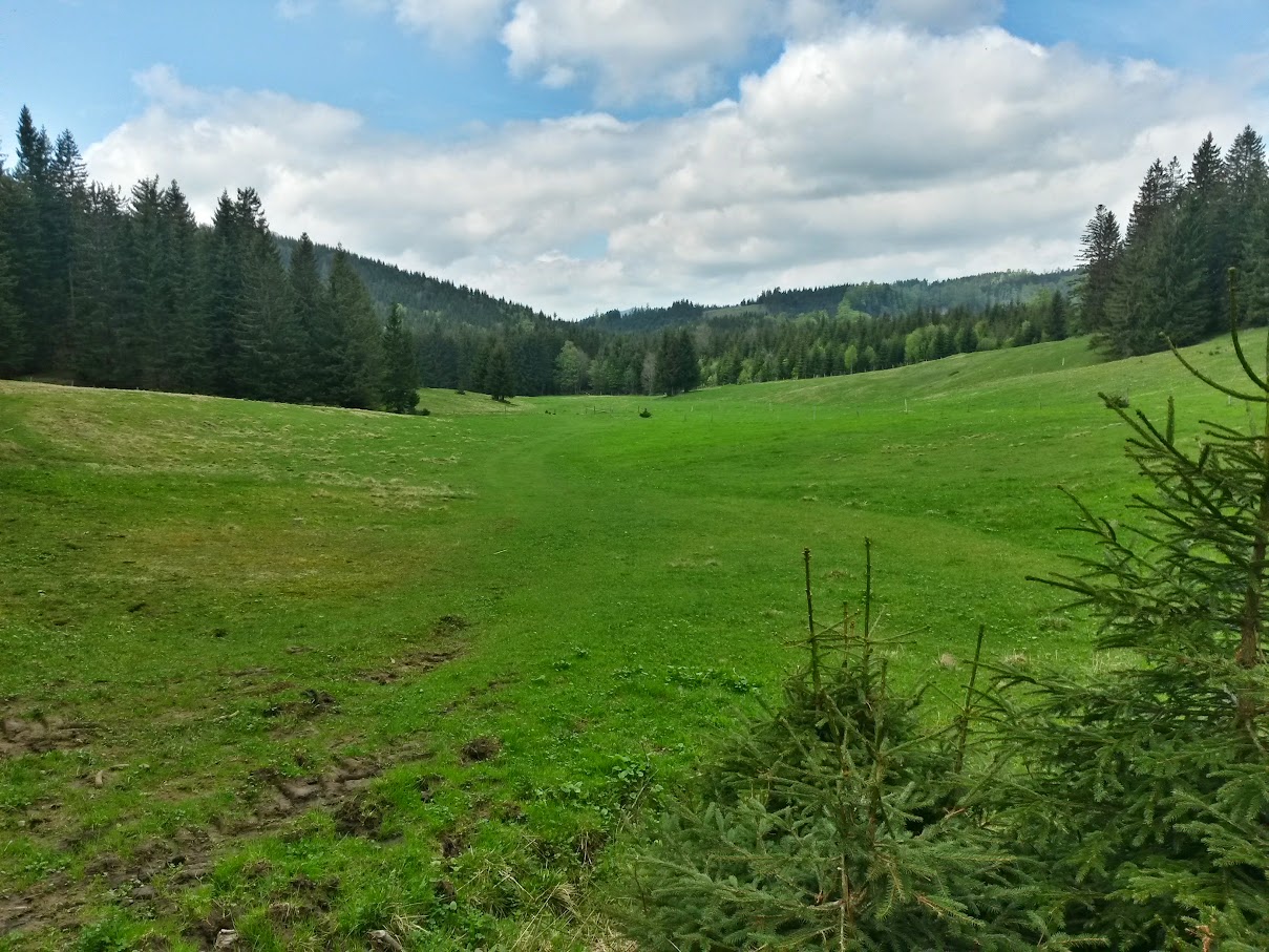 lh4.googleusercontent.com_-av5w2pxnbv0_vvdedagtc0i_aaaaaaaajkm_eem-02wunfu_w1209-h907-no_20150516_125410_richtone_2528hdr_2529.jpg lh4.googleusercontent.com_-av5w2pxnbv0_vvdedagtc0i_aaaaaaaajkm_eem-02wunfu_w1209-h907-no_20150516_125410_richtone_2528hdr_2529.jpg