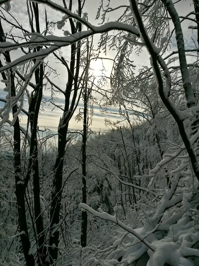 lh3.googleusercontent.com_-zw7l0oagqdm_vkqulkwp5di_aaaaaaaagmi_pfrnp7ovfkk_w691-h921-no_20141231_114745_richtone_28hdr_29.jpg lh3.googleusercontent.com_-zw7l0oagqdm_vkqulkwp5di_aaaaaaaagmi_pfrnp7ovfkk_w691-h921-no_20141231_114745_richtone_28hdr_29.jpg