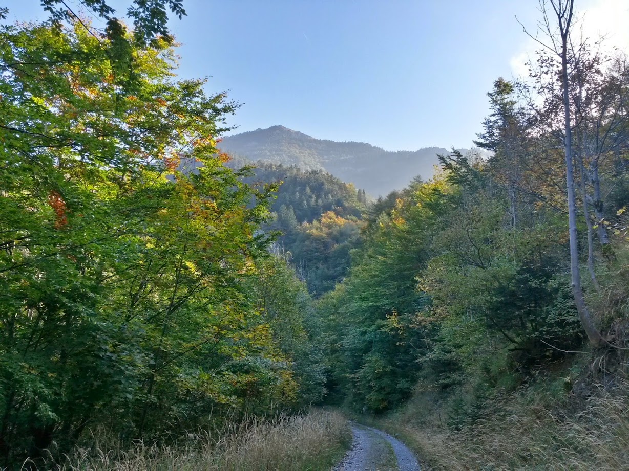 lh5.googleusercontent.com_-yxd0m2d3xmy_vdbag06rsei_aaaaaaaad88_m79o2pgbwym_w1228-h921-no_20141004_103013_richtone_28hdr_29.jpg lh5.googleusercontent.com_-yxd0m2d3xmy_vdbag06rsei_aaaaaaaad88_m79o2pgbwym_w1228-h921-no_20141004_103013_richtone_28hdr_29.jpg