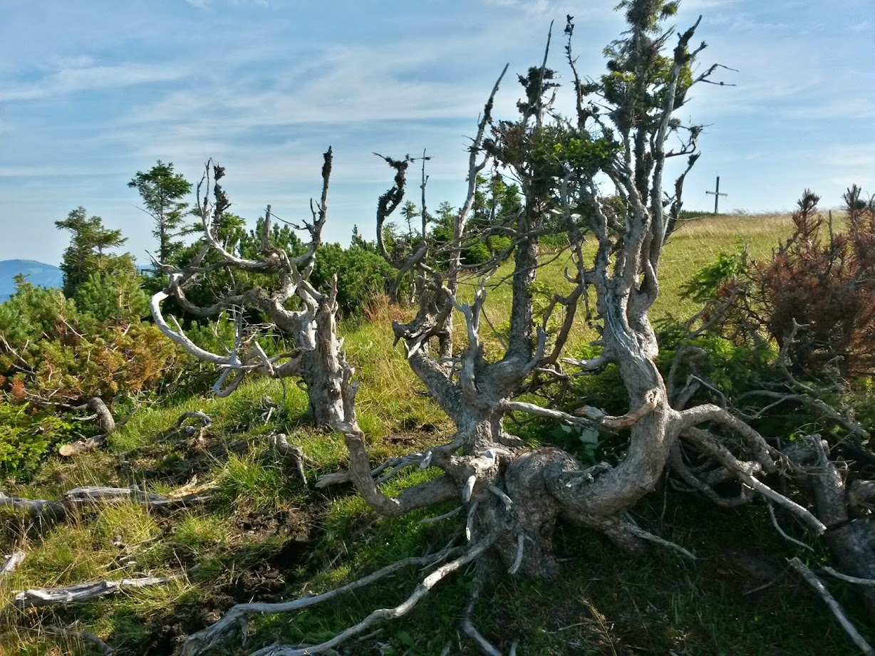 lh6.googleusercontent.com_-utj53zhcwvi_u9ozormudyi_aaaaaaaabxs_jimyrbb1zmo_w1228-h921-no_20140726_091915_richtone_2528hdr_2529.jpg lh6.googleusercontent.com_-utj53zhcwvi_u9ozormudyi_aaaaaaaabxs_jimyrbb1zmo_w1228-h921-no_20140726_091915_richtone_2528hdr_2529.jpg