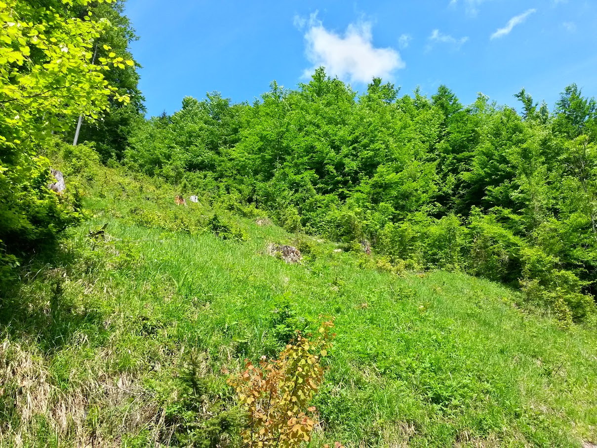 lh6.googleusercontent.com_-pihw-2unslm_vvdejd7_wyi_aaaaaaaajli_2ylsttbxkka_w1209-h907-no_20150516_135217_richtone_2528hdr_2529.jpg lh6.googleusercontent.com_-pihw-2unslm_vvdejd7_wyi_aaaaaaaajli_2ylsttbxkka_w1209-h907-no_20150516_135217_richtone_2528hdr_2529.jpg