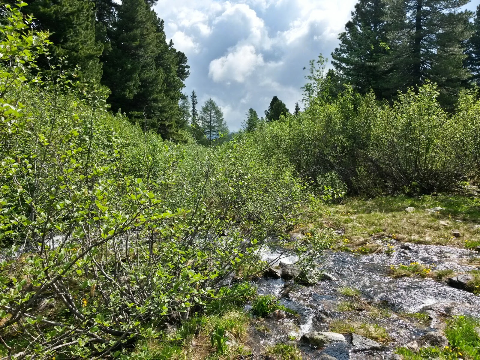 lh5.googleusercontent.com_-aw7eyfm3t0c_u5xucgqowpi_aaaaaaaazsg_2wu9c44hqi8_w1600-h1200-no_20140614_100450_richtone_2528hdr_2529.jpg lh5.googleusercontent.com_-aw7eyfm3t0c_u5xucgqowpi_aaaaaaaazsg_2wu9c44hqi8_w1600-h1200-no_20140614_100450_richtone_2528hdr_2529.jpg