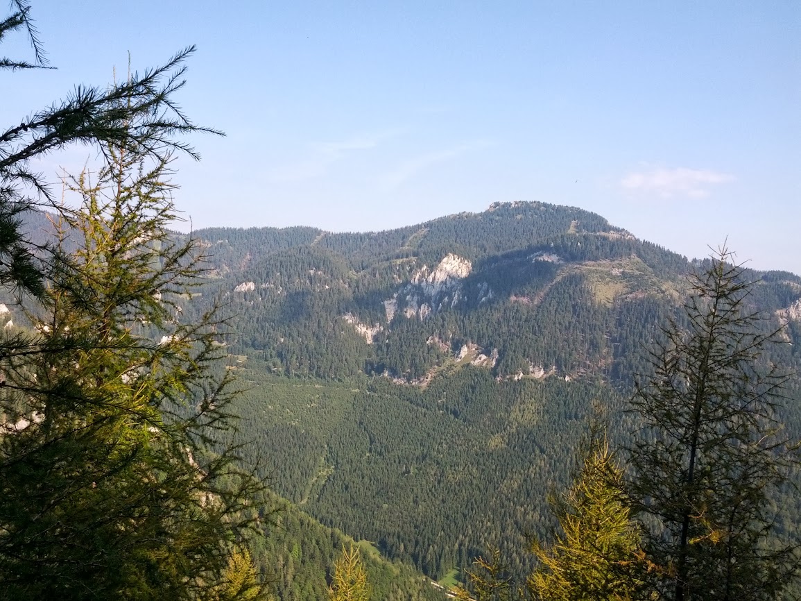 lh4.googleusercontent.com_-wi4iwbk-ug0_uiilvlrysli_aaaaaaaap88_305ridhaaas_w1155-h866-no_img_20130831_092919.jpg lh4.googleusercontent.com_-wi4iwbk-ug0_uiilvlrysli_aaaaaaaap88_305ridhaaas_w1155-h866-no_img_20130831_092919.jpg