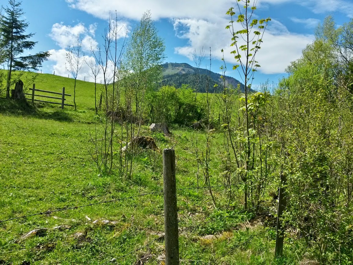 lh4.googleusercontent.com_-h19w6jeoile_u25cpqgsc3i_aaaaaaaaxs4_dttfbadzlrw_w1155-h866-no_20140510_144321_richtone_2528hdr_2529.jpg lh4.googleusercontent.com_-h19w6jeoile_u25cpqgsc3i_aaaaaaaaxs4_dttfbadzlrw_w1155-h866-no_20140510_144321_richtone_2528hdr_2529.jpg