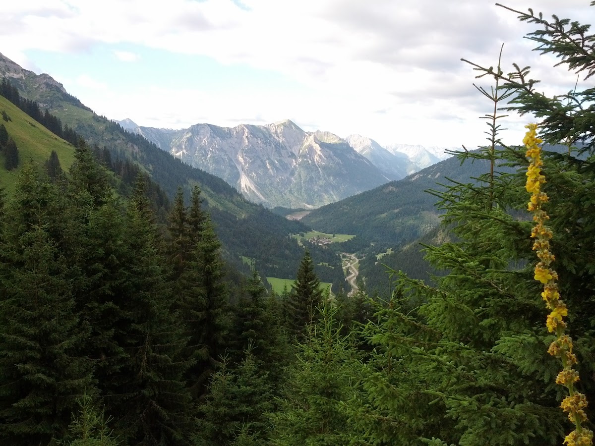 lh4.googleusercontent.com_-sypmfcnzxts_ufkiu2nabui_aaaaaaaapbc_kir9r6ppumu_w1200-h900-no_img_20130731_075440.jpg lh4.googleusercontent.com_-sypmfcnzxts_ufkiu2nabui_aaaaaaaapbc_kir9r6ppumu_w1200-h900-no_img_20130731_075440.jpg