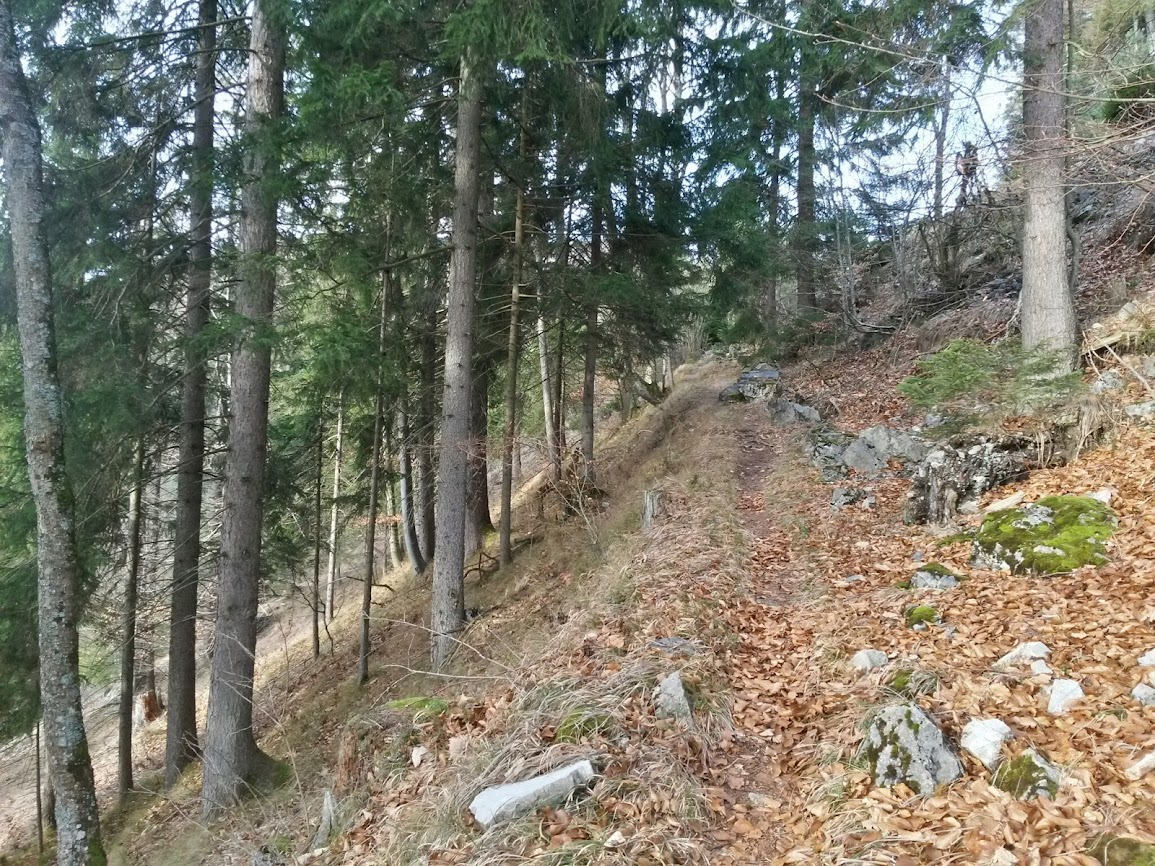 lh5.googleusercontent.com_-x7vkyaik7pq_utfzaqtzpqi_aaaaaaaaudw_js1pcgicygq_w1155-h866-no_20140111_093317_richtone_2528hdr_2529.jpg lh5.googleusercontent.com_-x7vkyaik7pq_utfzaqtzpqi_aaaaaaaaudw_js1pcgicygq_w1155-h866-no_20140111_093317_richtone_2528hdr_2529.jpg