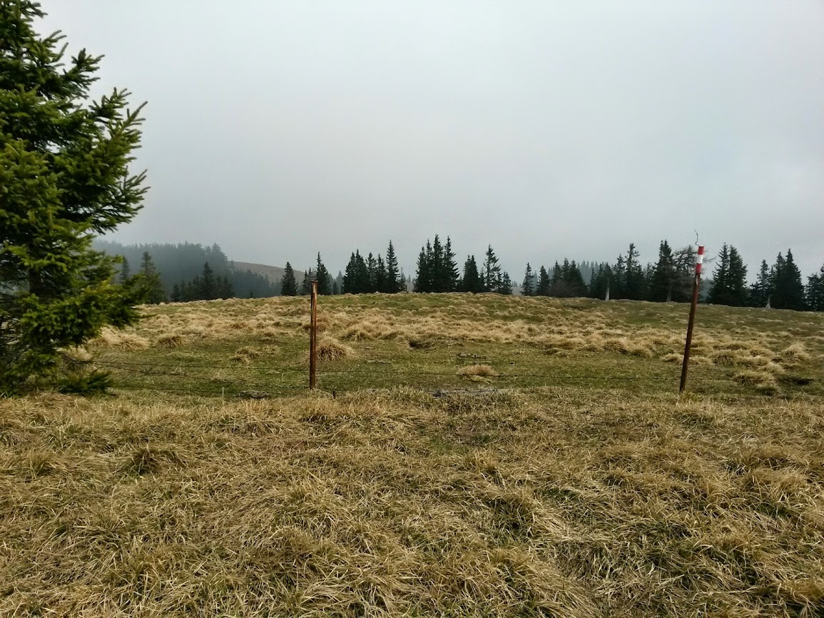 lh4.googleusercontent.com_--nvnilqjxgo_uz_vynoj7gi_aaaaaaaawqs_qngohbs5jgk_w1155-h866-no_20140405_104920_richtone_2528hdr_2529.jpg lh4.googleusercontent.com_--nvnilqjxgo_uz_vynoj7gi_aaaaaaaawqs_qngohbs5jgk_w1155-h866-no_20140405_104920_richtone_2528hdr_2529.jpg