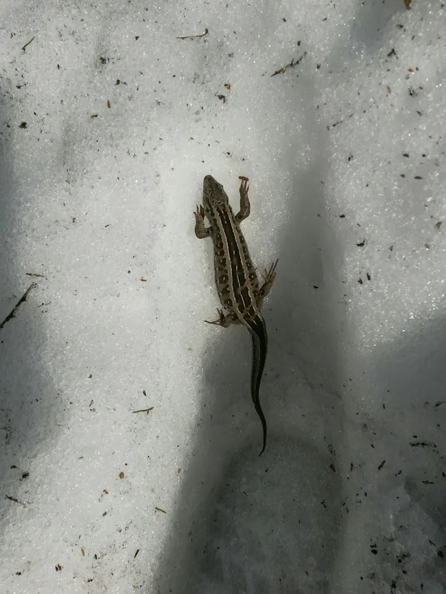 lh6.googleusercontent.com_-xkqe9g_e6yc_ur7oz50evfi_aaaaaaaauhy_m51yrldz7ma_w650-h866-no_20131228_112142_richtone_2528hdr_2529.jpg lh6.googleusercontent.com_-xkqe9g_e6yc_ur7oz50evfi_aaaaaaaauhy_m51yrldz7ma_w650-h866-no_20131228_112142_richtone_2528hdr_2529.jpg