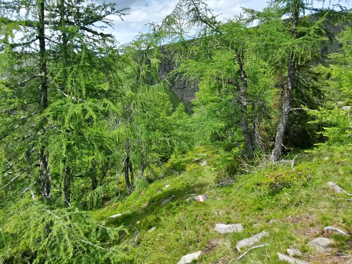 lh4.googleusercontent.com_-ze4rgdp0-g4_vywkth-bgwi_aaaaaaaamts_33kr5hoydkc_w1209-h907-no_20150625_151708_richtone_2528hdr_2529.jpg lh4.googleusercontent.com_-ze4rgdp0-g4_vywkth-bgwi_aaaaaaaamts_33kr5hoydkc_w1209-h907-no_20150625_151708_richtone_2528hdr_2529.jpg