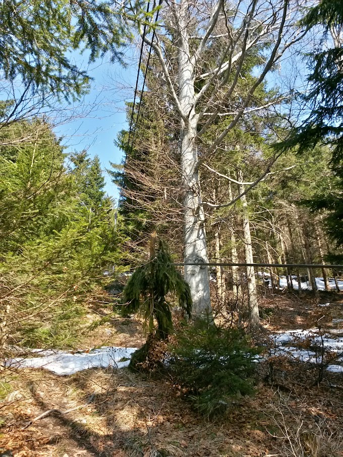 lh6.googleusercontent.com_-dayi0tcp2xe_vq2gq3mayxi_aaaaaaaah-m_hl_fwytngzk_w680-h907-no_20150321_102809_richtone_28hdr_29.jpg lh6.googleusercontent.com_-dayi0tcp2xe_vq2gq3mayxi_aaaaaaaah-m_hl_fwytngzk_w680-h907-no_20150321_102809_richtone_28hdr_29.jpg