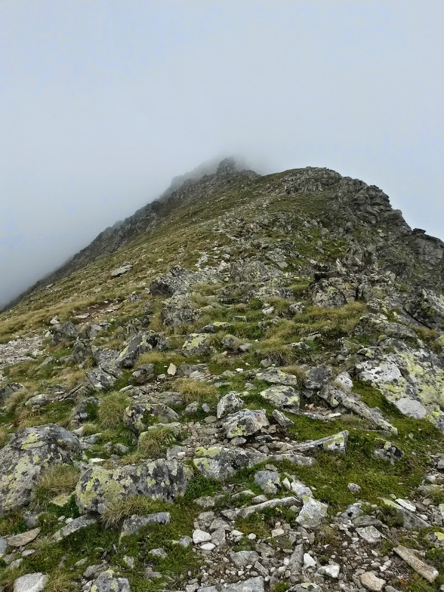 lh3.googleusercontent.com_-zmzjz2o4scq_u5xz2aoghwi_aaaaaaaazum_k410kjnfqg4_w900-h1200-no_20140614_111031_richtone_2528hdr_2529.jpg lh3.googleusercontent.com_-zmzjz2o4scq_u5xz2aoghwi_aaaaaaaazum_k410kjnfqg4_w900-h1200-no_20140614_111031_richtone_2528hdr_2529.jpg