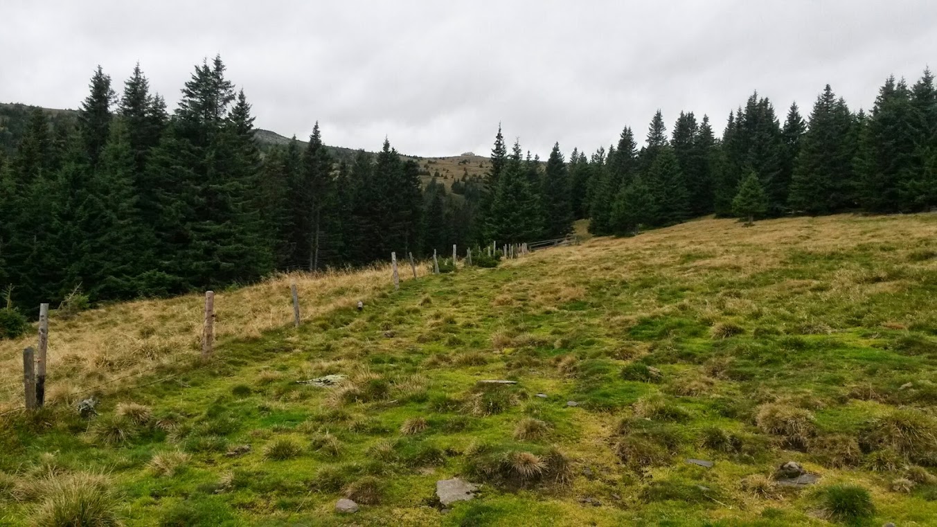 lh3.googleusercontent.com_--nccut3gxnc_ulllx877dii_aaaaaaaaq_u_oh-yyds8yii_w1353-h761-no_20131012_094832.jpg lh3.googleusercontent.com_--nccut3gxnc_ulllx877dii_aaaaaaaaq_u_oh-yyds8yii_w1353-h761-no_20131012_094832.jpg