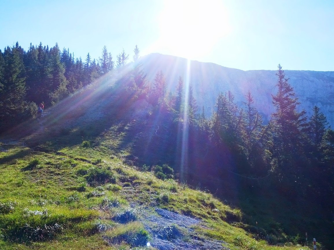 lh4.googleusercontent.com_--lv6mtkak-k_ug-hyapup3i_aaaaaaaapzg_yowrlyfa3e0_w1155-h866-no_img_20130817_091158.jpg lh4.googleusercontent.com_--lv6mtkak-k_ug-hyapup3i_aaaaaaaapzg_yowrlyfa3e0_w1155-h866-no_img_20130817_091158.jpg