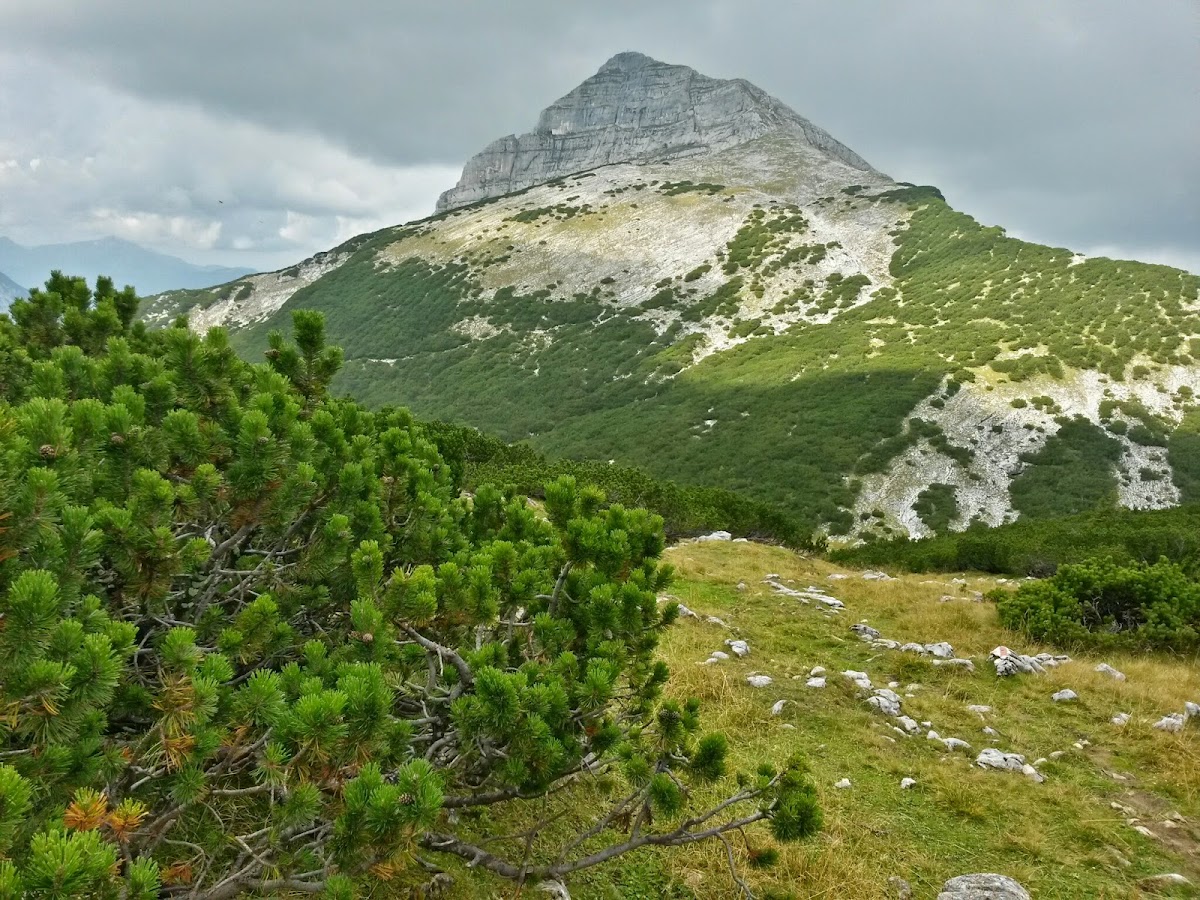 lh6.googleusercontent.com_-1ss5yjz1-dk_vaxftobez5i_aaaaaaaacoq_triefbmcvpa_w1200-h900-no_20140907_130906_richtone_28hdr_29.jpg lh6.googleusercontent.com_-1ss5yjz1-dk_vaxftobez5i_aaaaaaaacoq_triefbmcvpa_w1200-h900-no_20140907_130906_richtone_28hdr_29.jpg