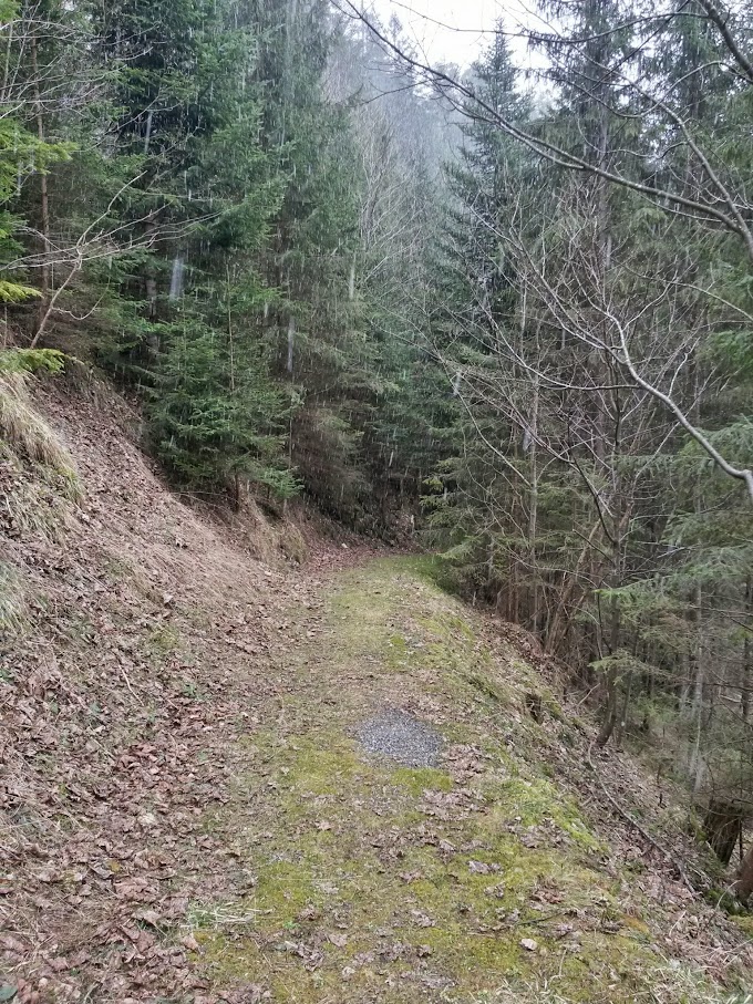 lh4.googleusercontent.com_-8v0nlpjpi0e_vtkvzyriivi_aaaaaaaaijo_c4ojvnka-tk_w680-h907-no_20150418_133936_richtone_28hdr_29.jpg lh4.googleusercontent.com_-8v0nlpjpi0e_vtkvzyriivi_aaaaaaaaijo_c4ojvnka-tk_w680-h907-no_20150418_133936_richtone_28hdr_29.jpg