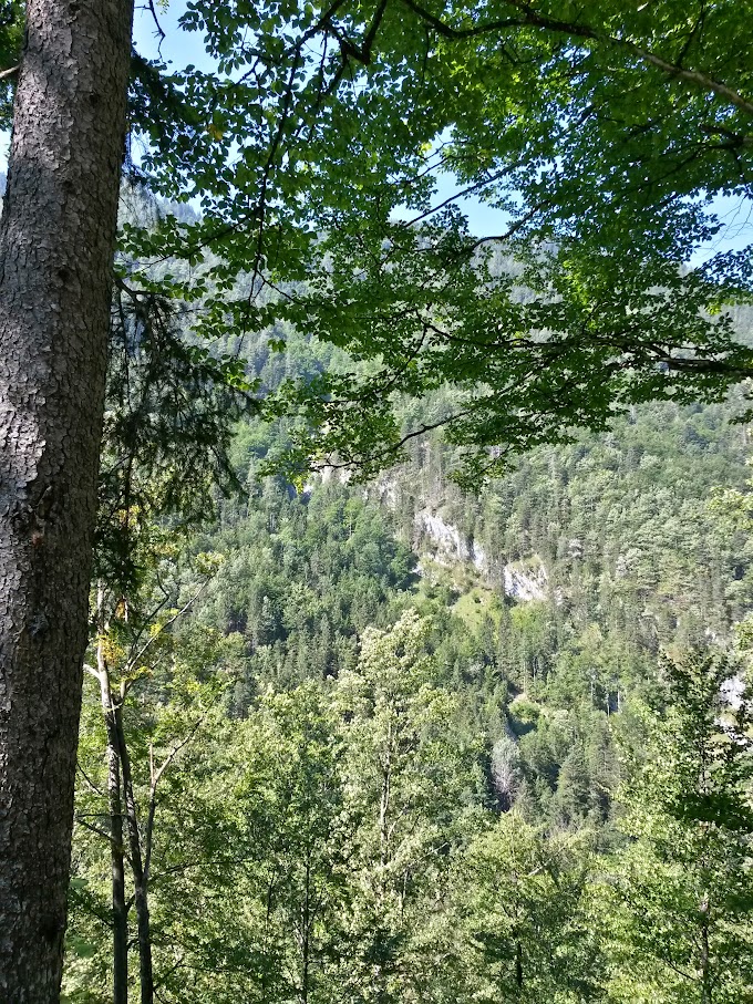 lh6.googleusercontent.com_-txp5voskxm8_vdmuot7gbii_aaaaaaaanb0_9e1kb5sephw_w680-h907-no_20150823_105631_richtone_2528hdr_2529.jpg lh6.googleusercontent.com_-txp5voskxm8_vdmuot7gbii_aaaaaaaanb0_9e1kb5sephw_w680-h907-no_20150823_105631_richtone_2528hdr_2529.jpg