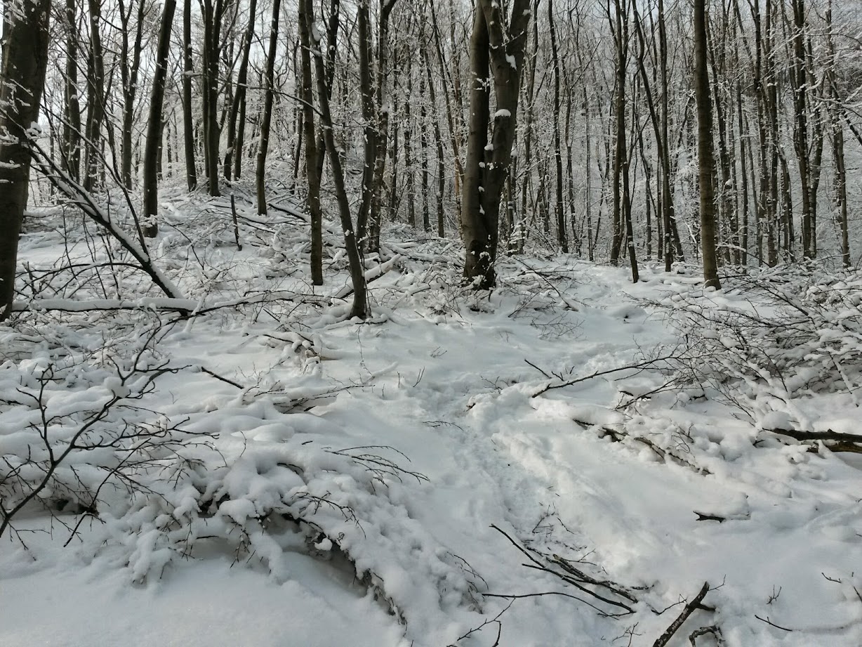 lh3.googleusercontent.com_-oppngyty2oe_vkqug9qriri_aaaaaaaaglw_9kusytir0p8_w1228-h921-no_20141231_114338_richtone_28hdr_29.jpg lh3.googleusercontent.com_-oppngyty2oe_vkqug9qriri_aaaaaaaaglw_9kusytir0p8_w1228-h921-no_20141231_114338_richtone_28hdr_29.jpg