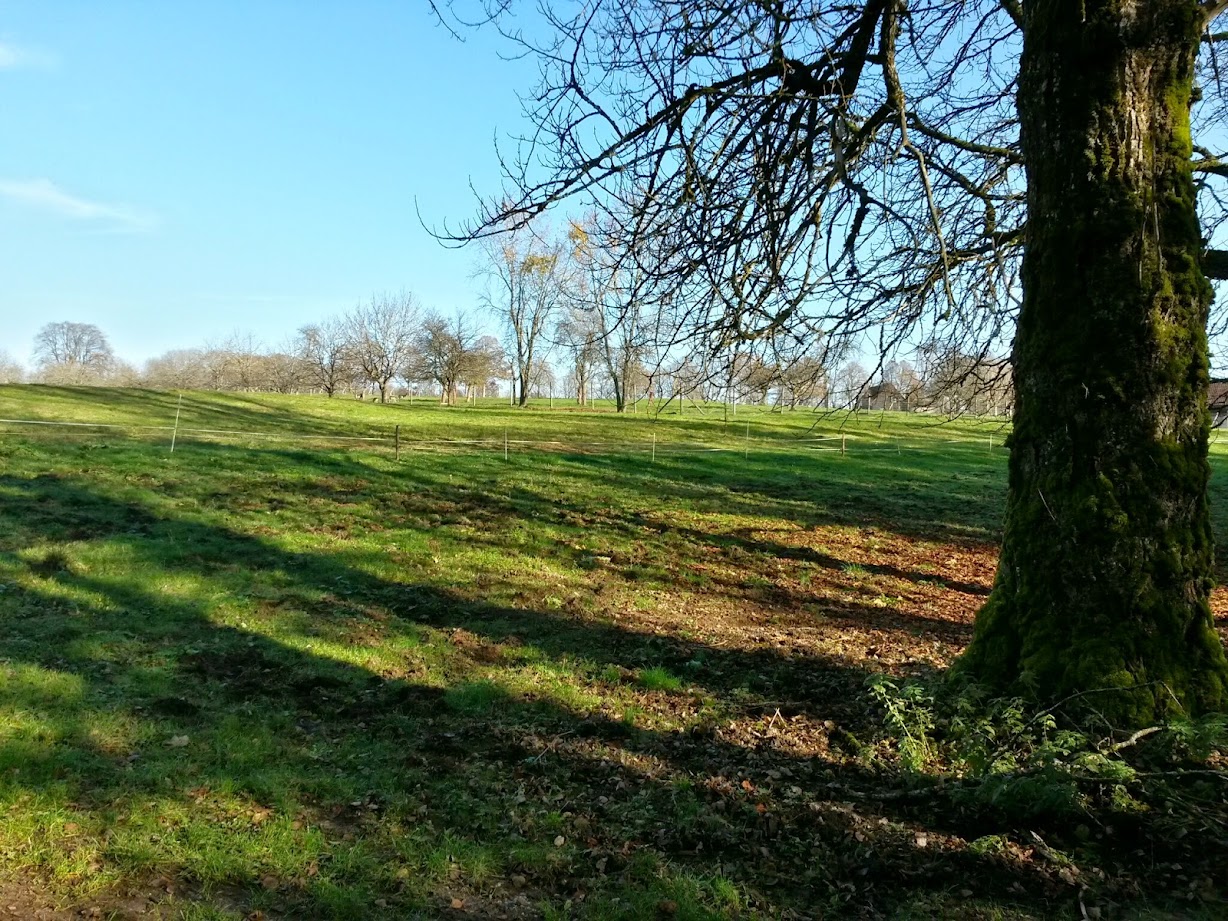 lh4.googleusercontent.com_-jwe8coazozu_vhh929_jzui_aaaaaaaafek_k-mxsryezuo_w1228-h921-no_20141122_121803_richtone_28hdr_29.jpg lh4.googleusercontent.com_-jwe8coazozu_vhh929_jzui_aaaaaaaafek_k-mxsryezuo_w1228-h921-no_20141122_121803_richtone_28hdr_29.jpg