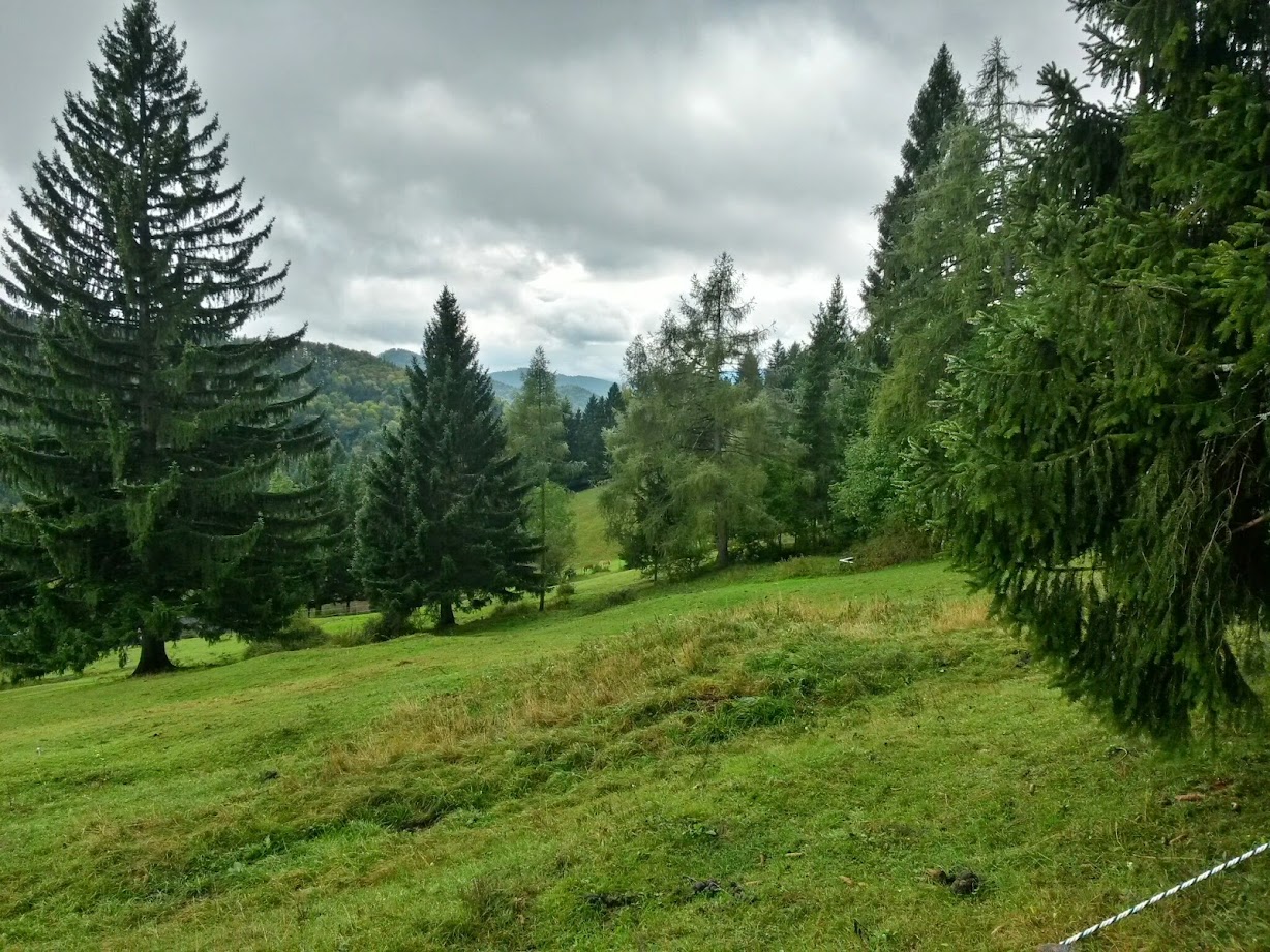 lh4.googleusercontent.com_-7dg_vrecvu0_vcczolyibdi_aaaaaaaad0c_zwvb_njdnno_w1228-h921-no_20140927_133518_richtone_28hdr_29.jpg lh4.googleusercontent.com_-7dg_vrecvu0_vcczolyibdi_aaaaaaaad0c_zwvb_njdnno_w1228-h921-no_20140927_133518_richtone_28hdr_29.jpg