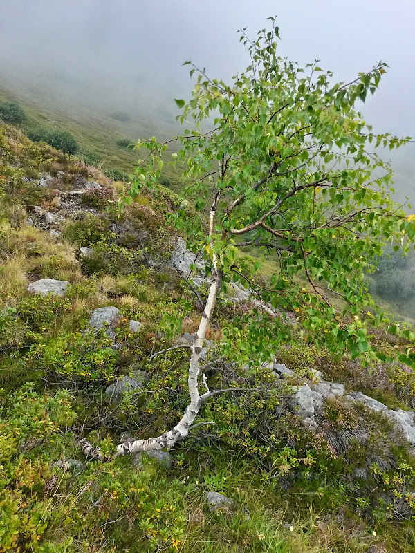 lh5.googleusercontent.com_-5nicrpxoteo_vbbmht2okyi_aaaaaaaac_c_vkbanpyuhkg_w600-h800-no_20140910_123329_richtone_28hdr_29.jpg lh5.googleusercontent.com_-5nicrpxoteo_vbbmht2okyi_aaaaaaaac_c_vkbanpyuhkg_w600-h800-no_20140910_123329_richtone_28hdr_29.jpg